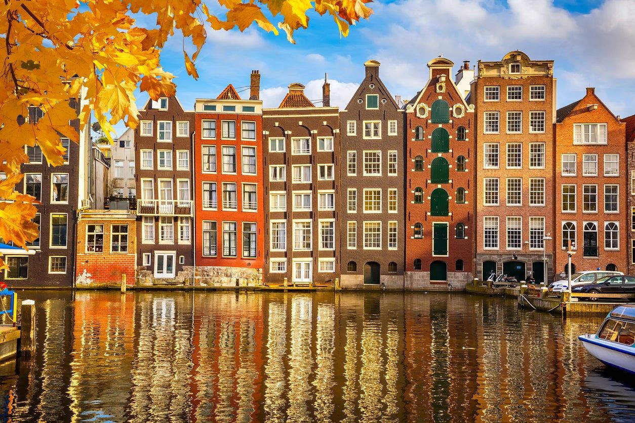 iStock-516188849.jpg